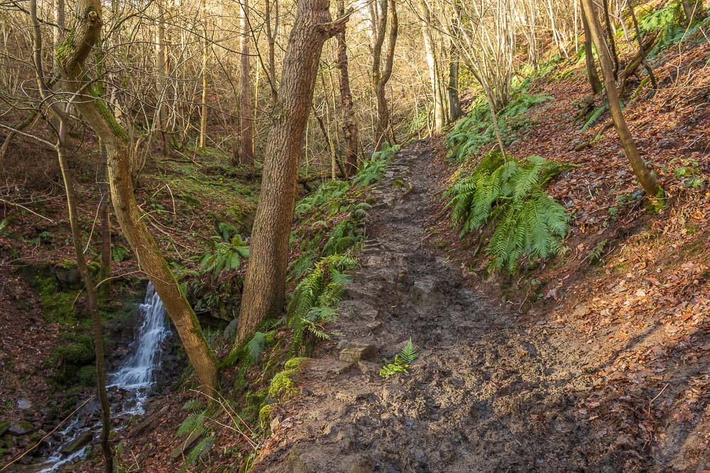 Parkin Clough